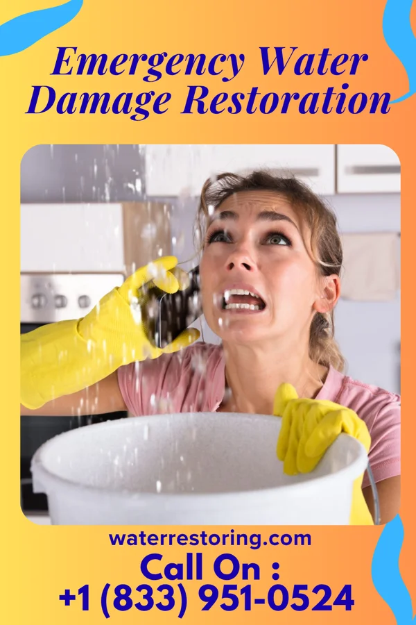 Emergency Water Damage Restoration in Darlington, WI