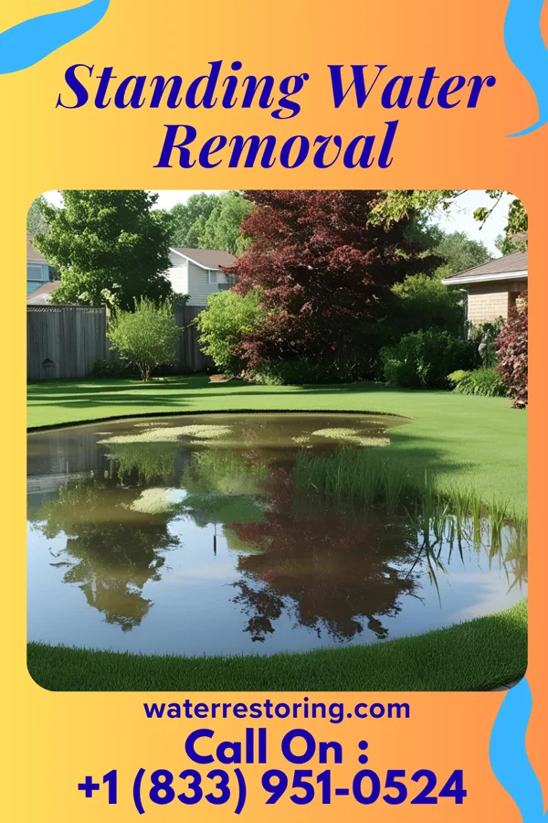 Standing Water Removal in Darlington, WI